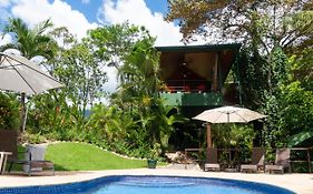 Arbol Verde Villas